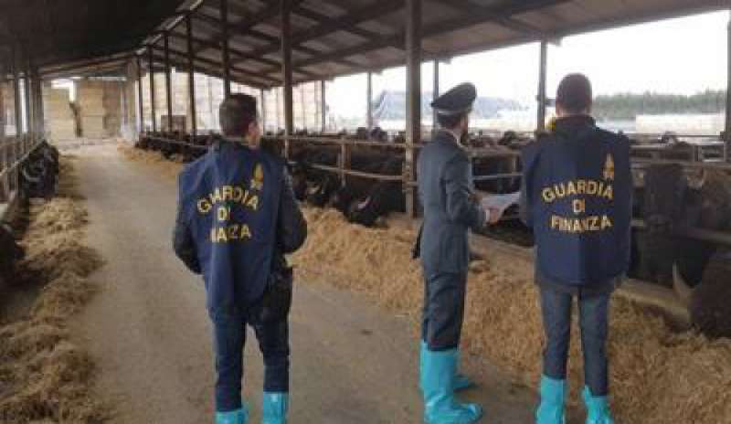 Latte avariato e soda caustica per produrre mozzarelle dop: arresti nel Casertano