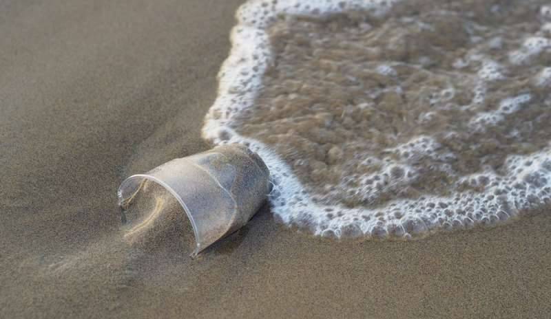 Le Hawaii vogliono bandire la plastica nei ristoranti