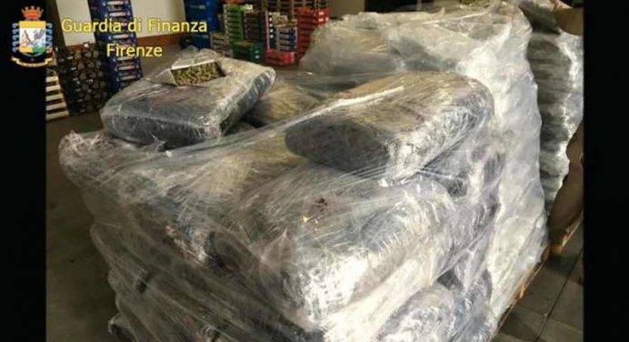 Maxi sequestro al porto: scoperti 650 kg di coca