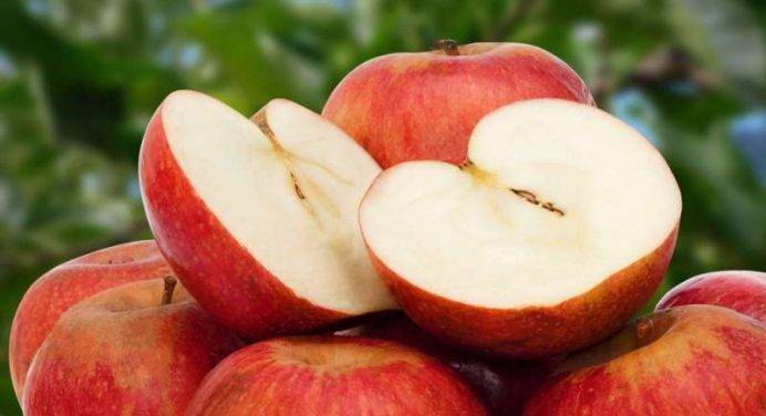 Alla scoperta della mela annurca e dei suoi molti benefici per la salute