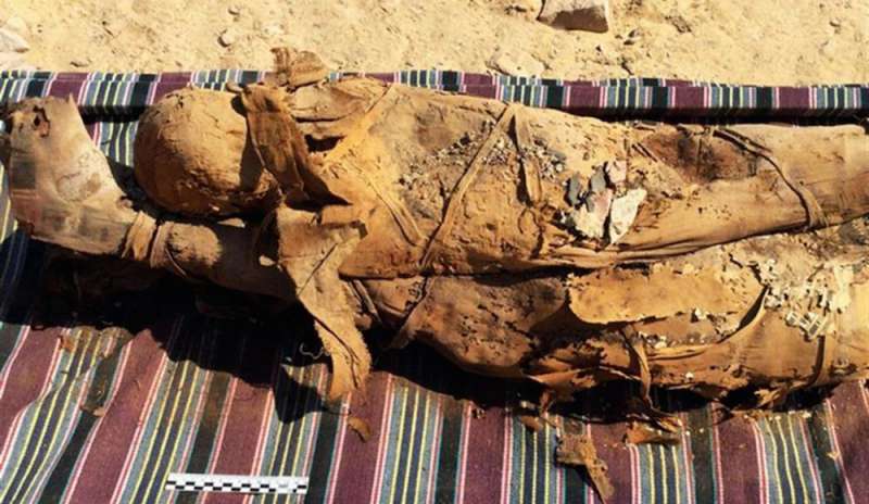 Missione italo-egiziana scopre necropoli con 35 mummie