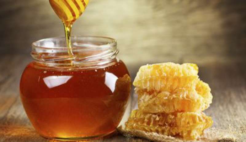 Nel miele l’arma che uccide i super batteri resistenti all’antibiotico
