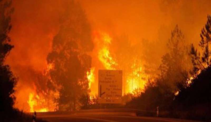 Portogallo: maxi incendio a Pedrogao Grande, almeno 62 morti