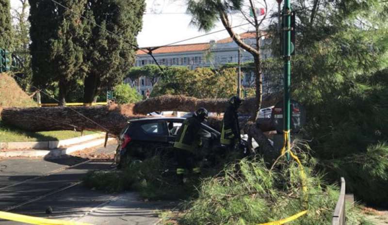 Prati, albero colossale si schianta su un taxi: conducente ferito