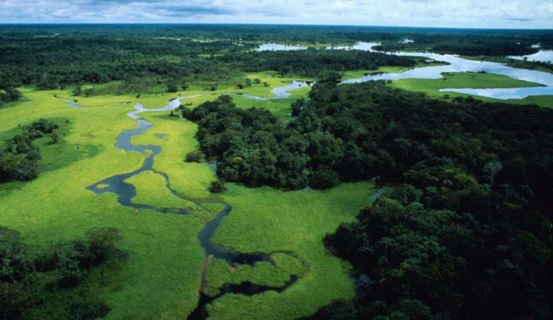 Querida Amazonia, i sogni di un Papa che va oltre