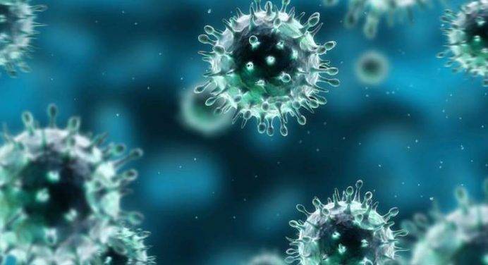 Ricostruiti i “gusci” dei virus e scoperta una nuova proteina