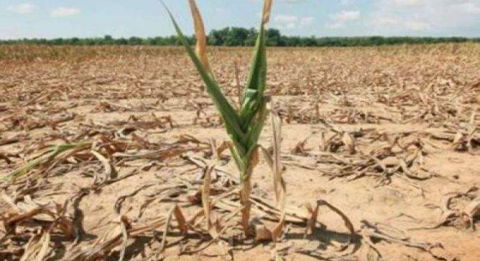 E’ allerta siccità in Spagna per la più prolungata assenza di piogge in 100 anni