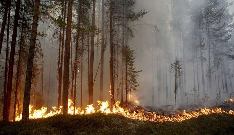 Svezia in fiamme: colpa dei cambiamenti climatici?