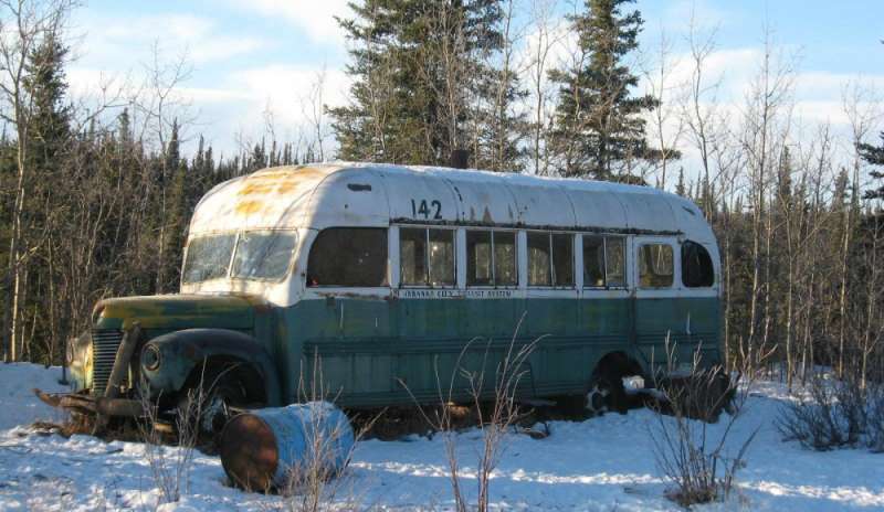 Tentano di raggiungere il Magic Bus: tragedia sfiorata in Alaska