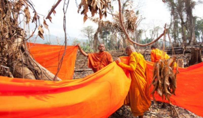 Thailandia, i monaci buddisti impegnati a salvare gli alberi delle foreste