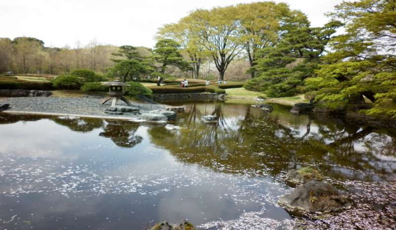 Tokyo: apertura straordinaria del giardino imperiale per gli 80 anni di Akihito