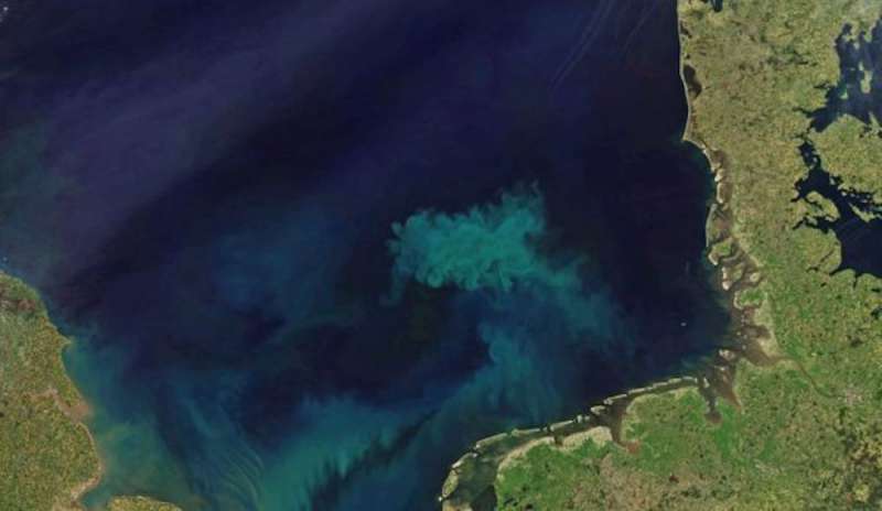 Troppo caldo: gli oceani cambiano colore