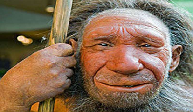 img800-vanitoso-e-artigiano-luomo-di-neanderthal-creava-e-indossava-gioielli-103272.jpg