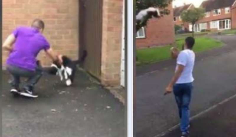Video choc: lancia gatti contro il muro per divertimento