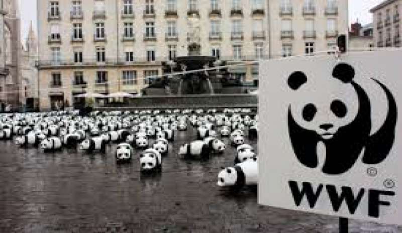 Il Wwf contro il decreto Sblocca Italia: “Non tutela l’ambiente”