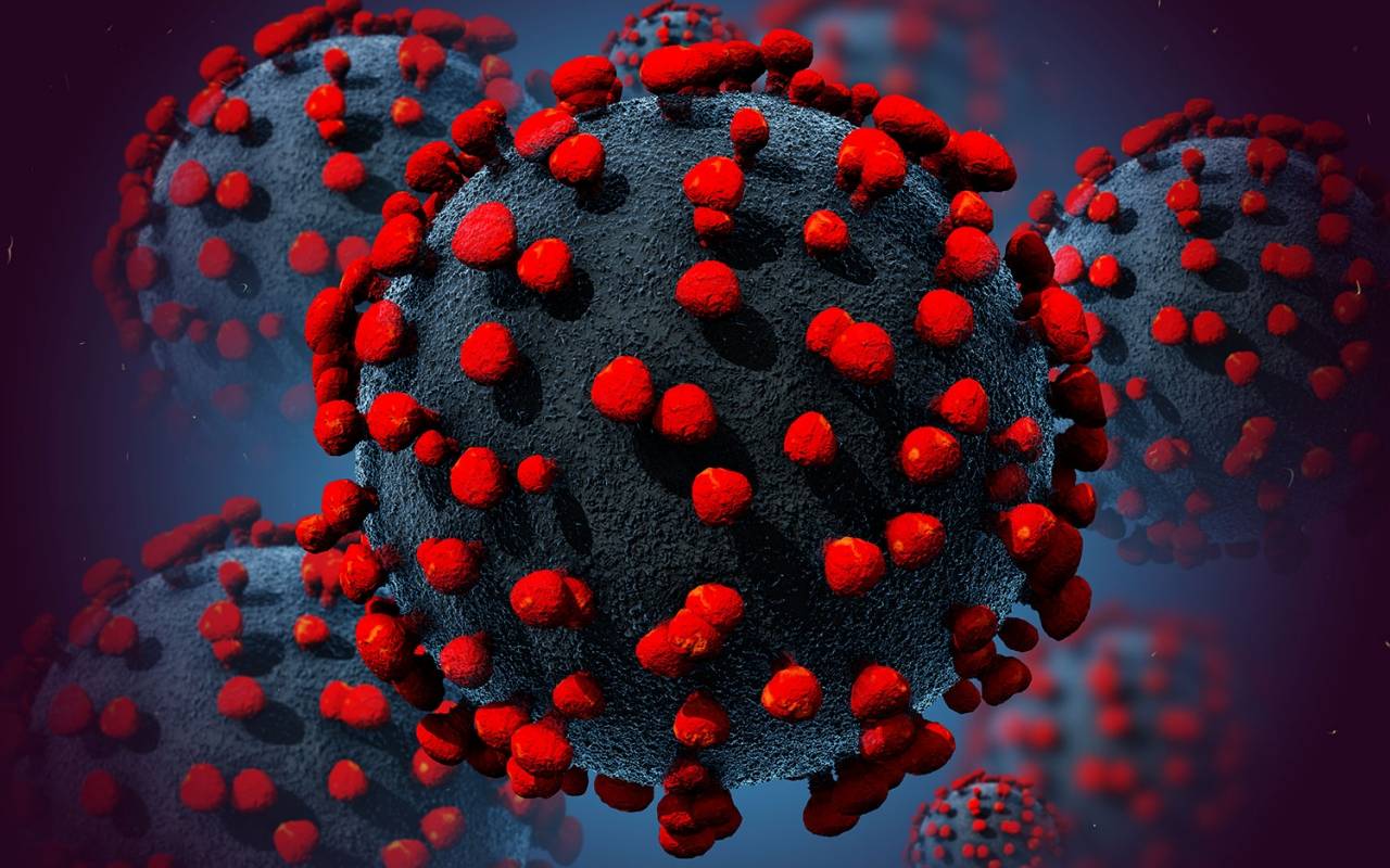 I casi di coronavirus nel mondo si avvicinano oggi a quota 340mila