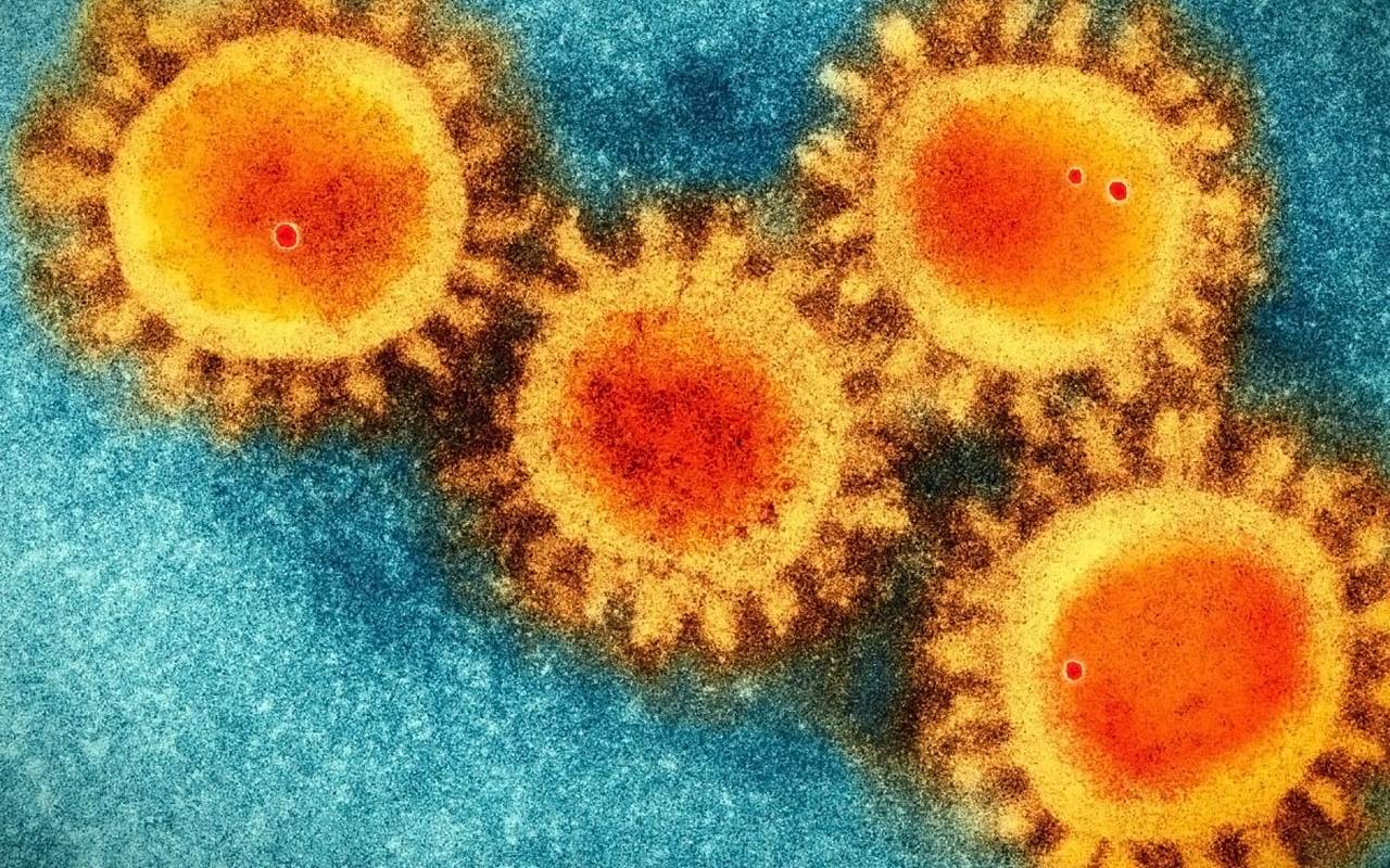 Coronavirus Italia: Da nord a sud come si evolve il trend dei contagi