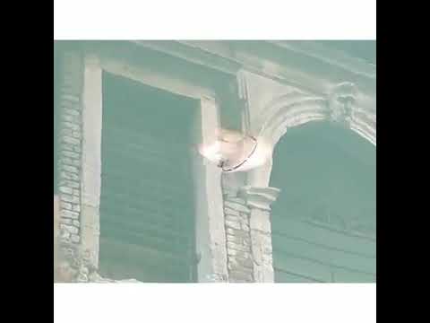 Venezia, nei canali vicino San Marco spunta una maxi medusa – VIDEO –