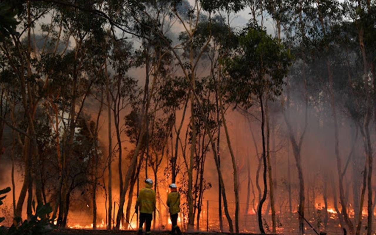 Incendi in Australia: la nube di fumo fa più giri intorno al globo