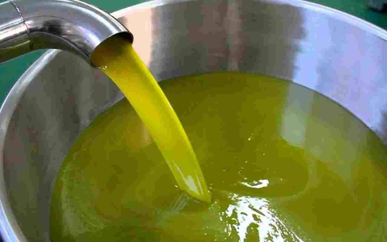 fragranze dell'olio d'oliva