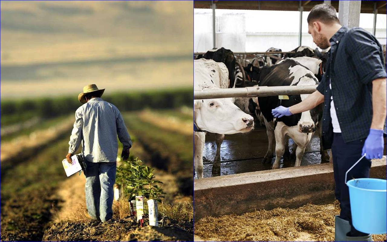 L’appello della Coldiretti: “Premiare il made in Italy per sostenere allevatori e agricoltori”