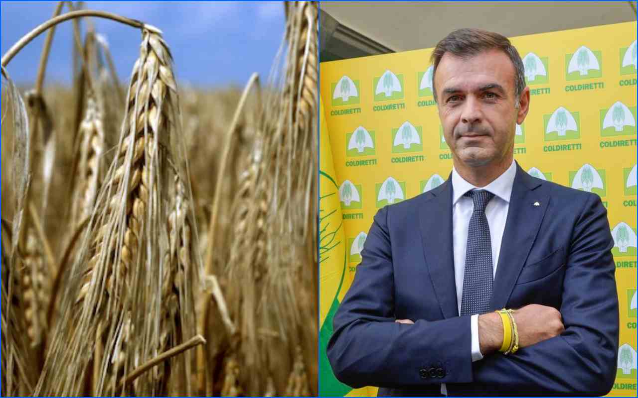 Prandini (Coldiretti): “Agricoltura e Agroalimentare: in 4 mesi perdite per 12 miliardi di euro”
