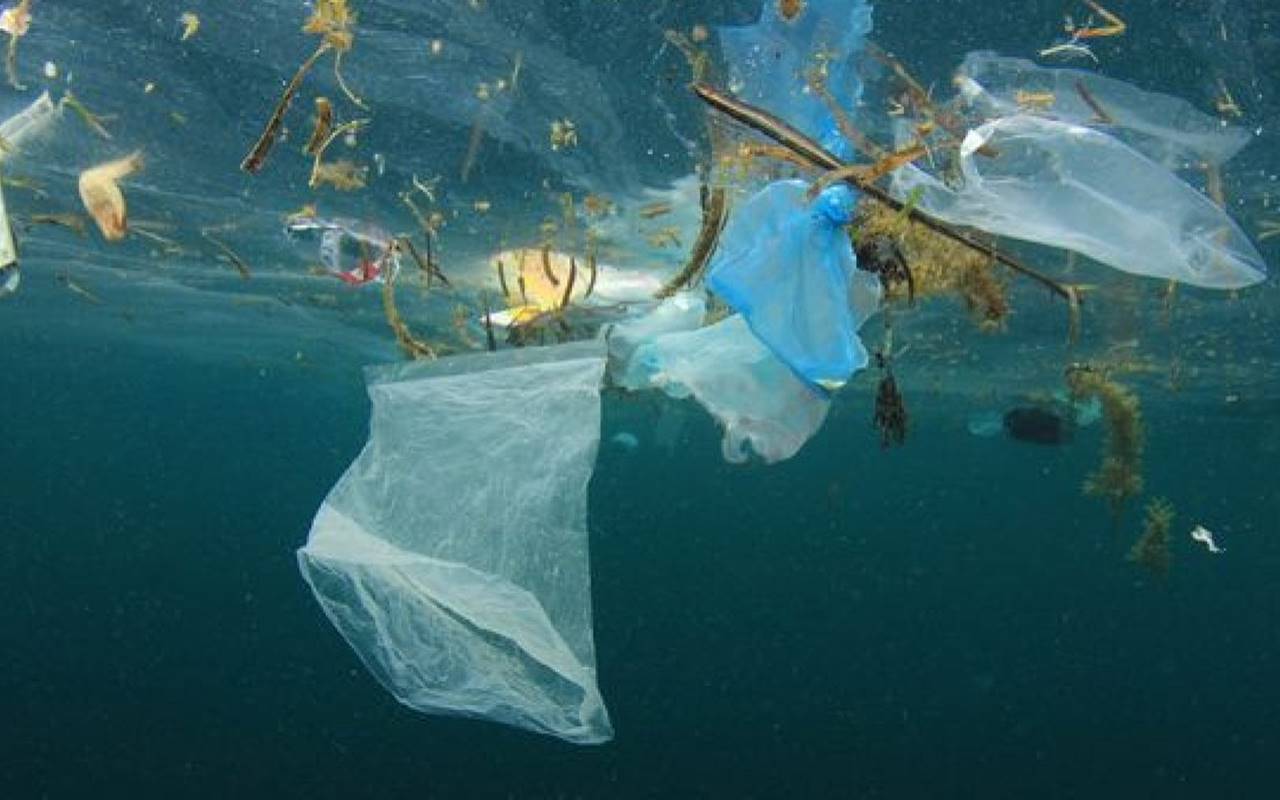 Un oceano di plastica: allarme rosso per l’ambiente