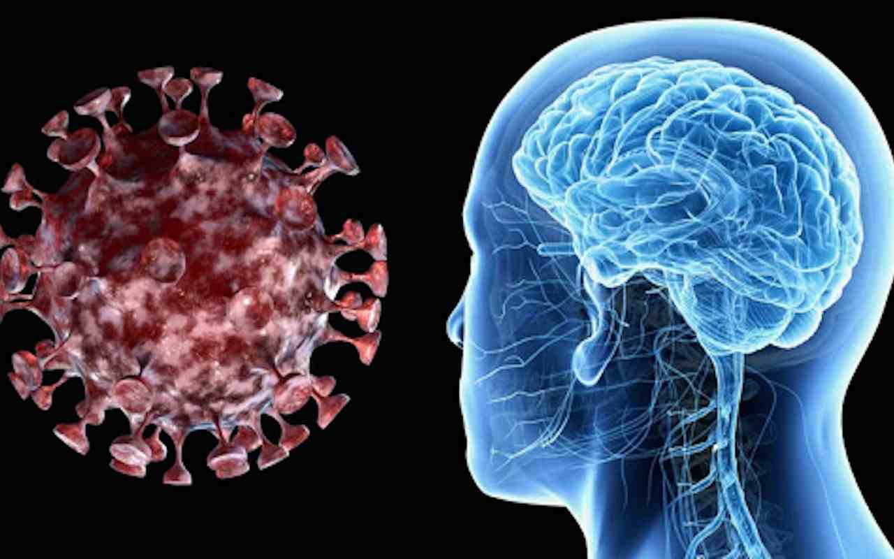 Coronavirus e cervello: le ultime scoperte sui danni al sistema nervoso centrale