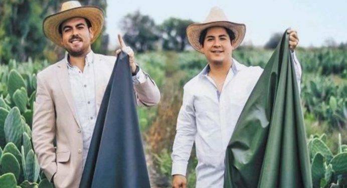 Moda ecosostenibile in Messico: pelle vegetale estratta dalle foglie del fico d’India