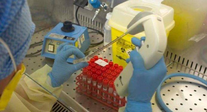 Cina, fuga di batteri dal laboratorio: 3 mila ammalati di brucellosi