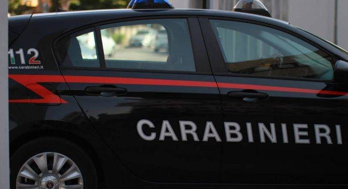 Ex insegnante uccisa nel Bolognese: arrestato un sospettato