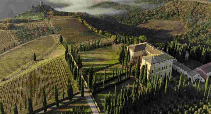 Montalcino: tra arte e degustazioni di vini in una cantina plastic free