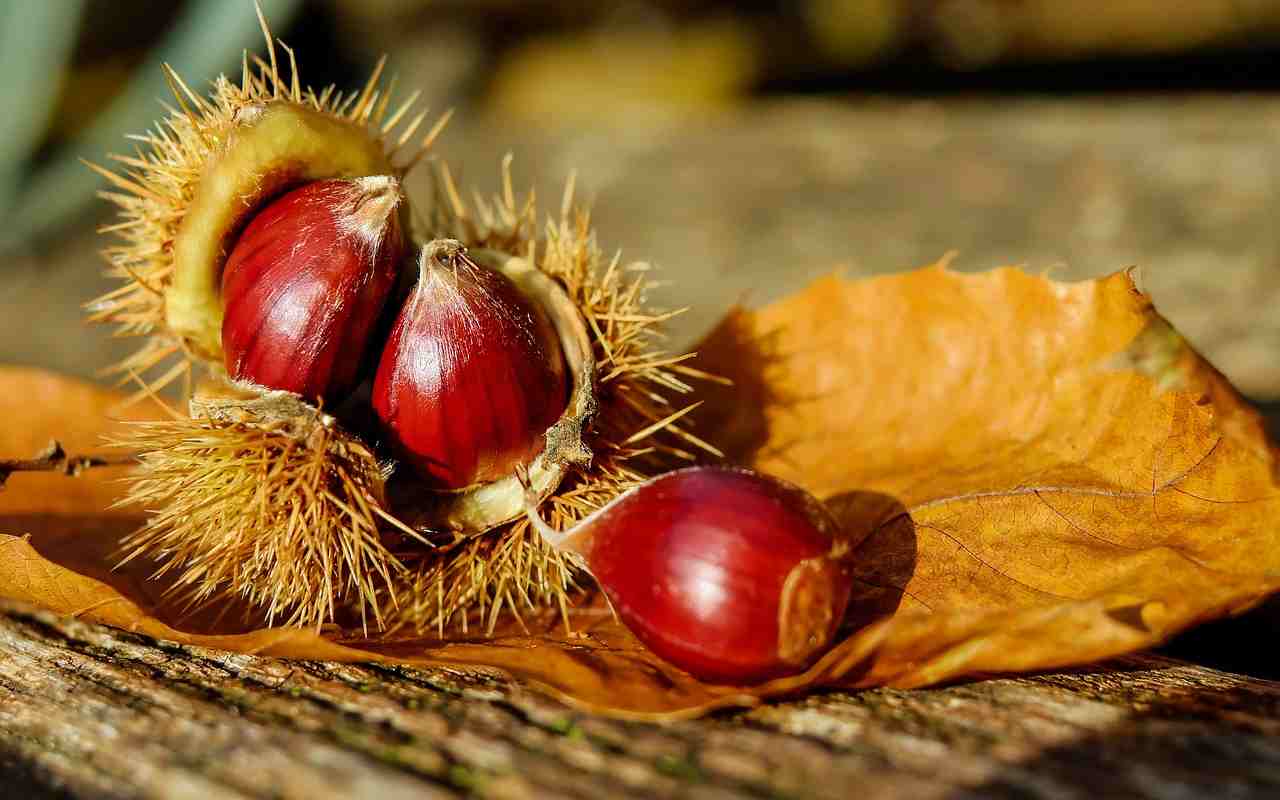 Il dolce d’autunno goloso: castagne allo sciroppo