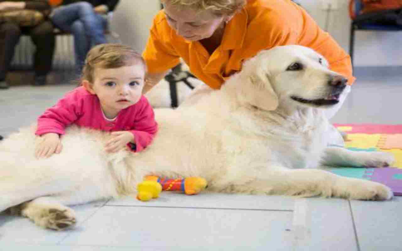 Pet Therapy: gli animali ci fanno bene