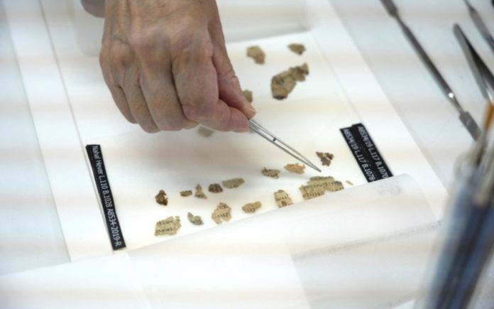 Frammenti del rotolo scoperti nel deserto della Giudea dopo la conservazione (foto Shai Halevi/Aia)