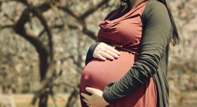 Che cosa è la “maternità surrogata solidale” e perché ne discute il Parlamento