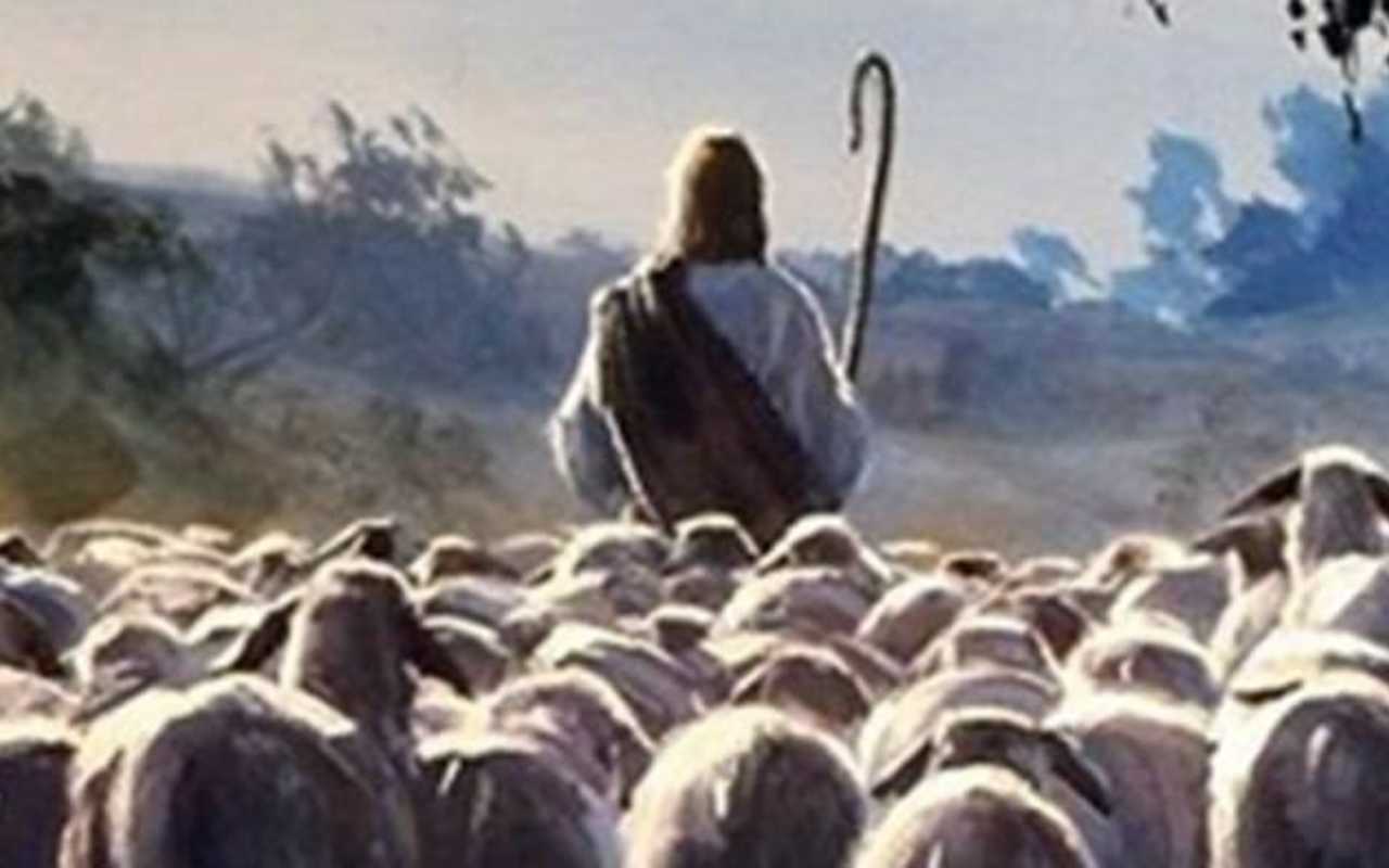 “Erano come pecore che non hanno pastore”