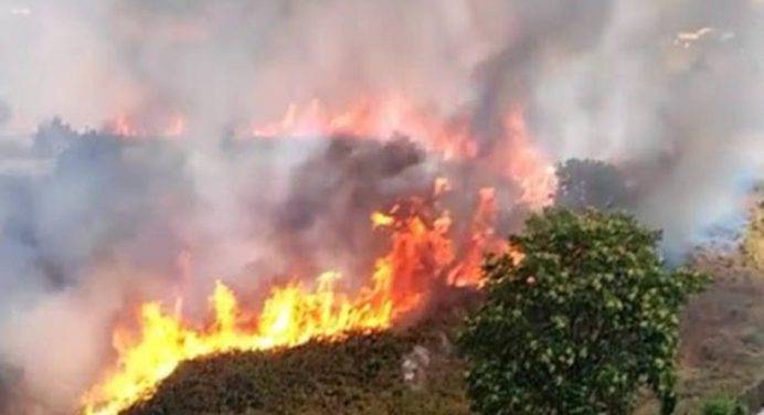 Nuove vittime degli incendi in Calabria, Regione chiede stato di emergenza