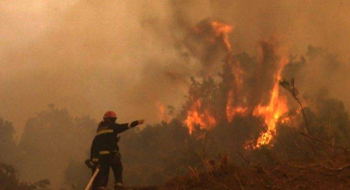 Saint-Tropez brucia: evacuate migliaia di persone compresi i turisti