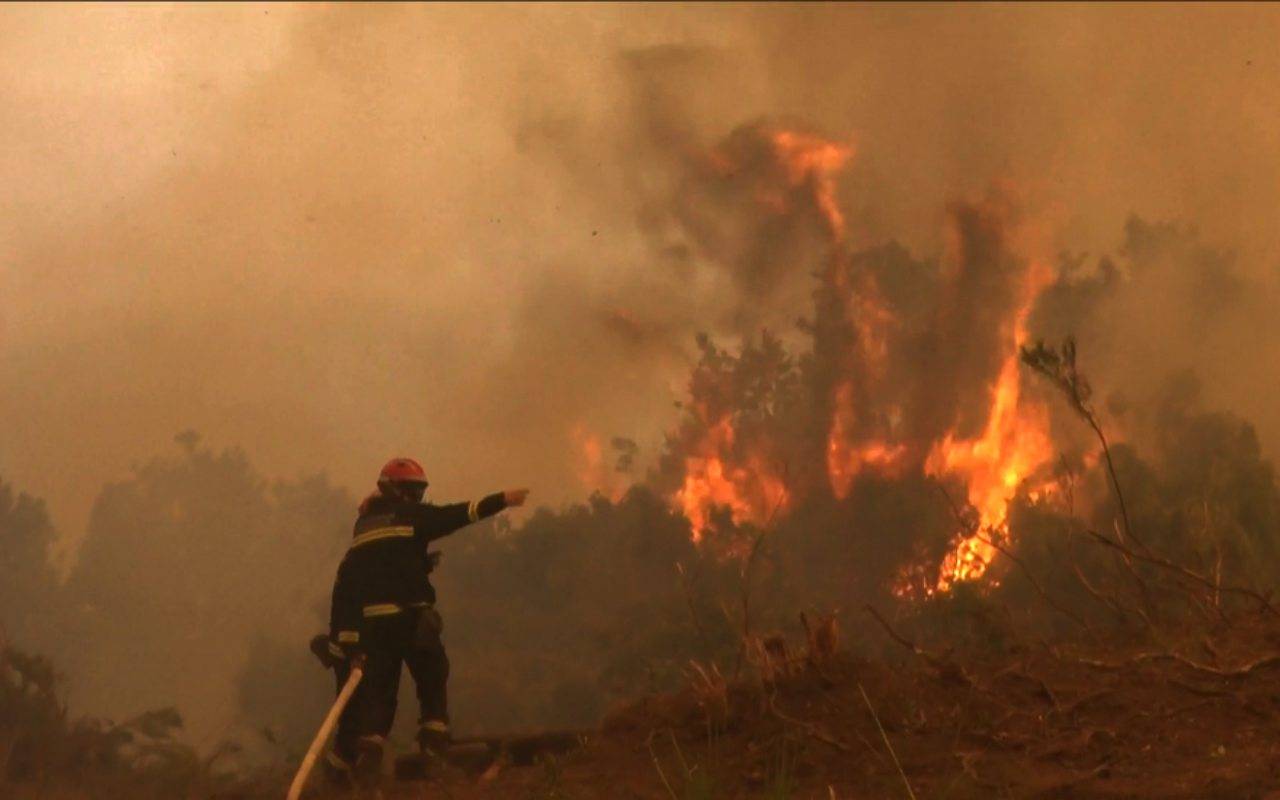 La Versilia brucia: 200 evacuati, 7 case interessate dalle fiamme