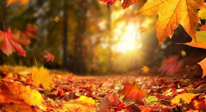 Il foliage: come scoprire (o riscoprire) i segreti dell’autunno