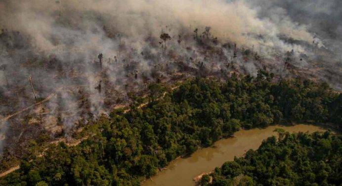 Amazzonia brasiliana, allarme di Imazon per il livello di deforestazione