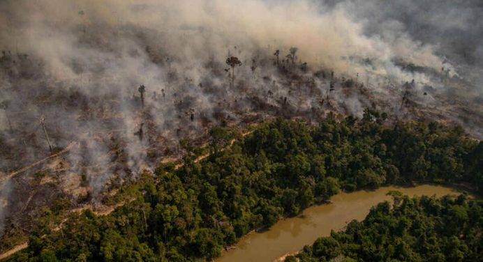 “Salviamo l’Amazzonia a tavola”. Sei mesi di distruzione record nella foresta-polmone del mondo