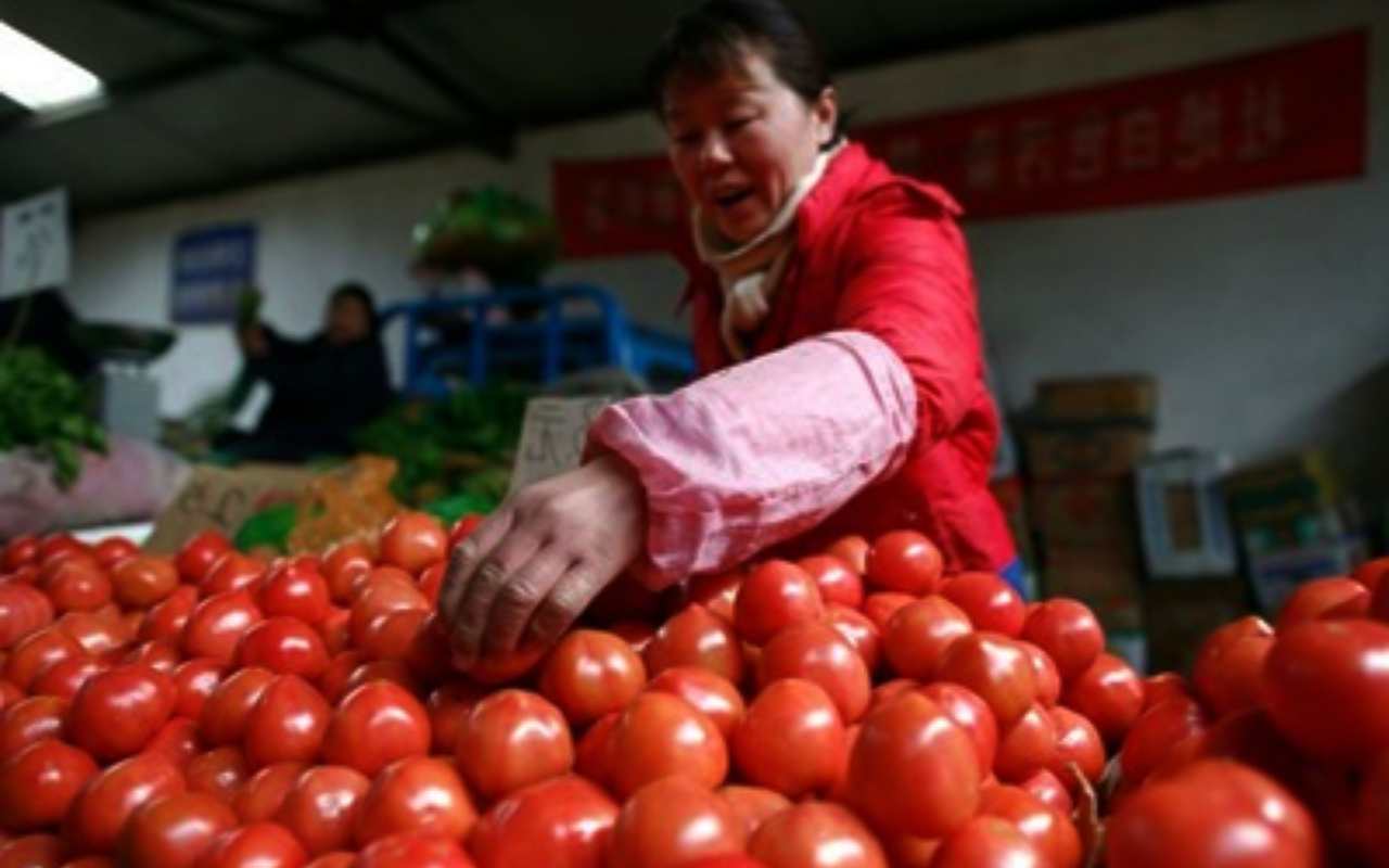 Coldiretti: “Raddoppia l’import di pomodoro dalla Cina. Italia invasa”