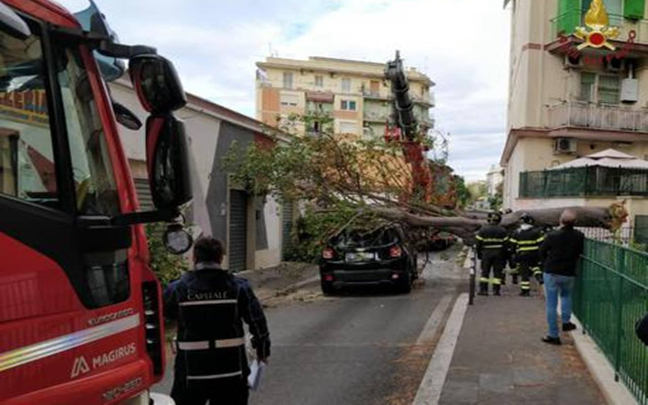 Roma, albero cade su un’auto di passaggio