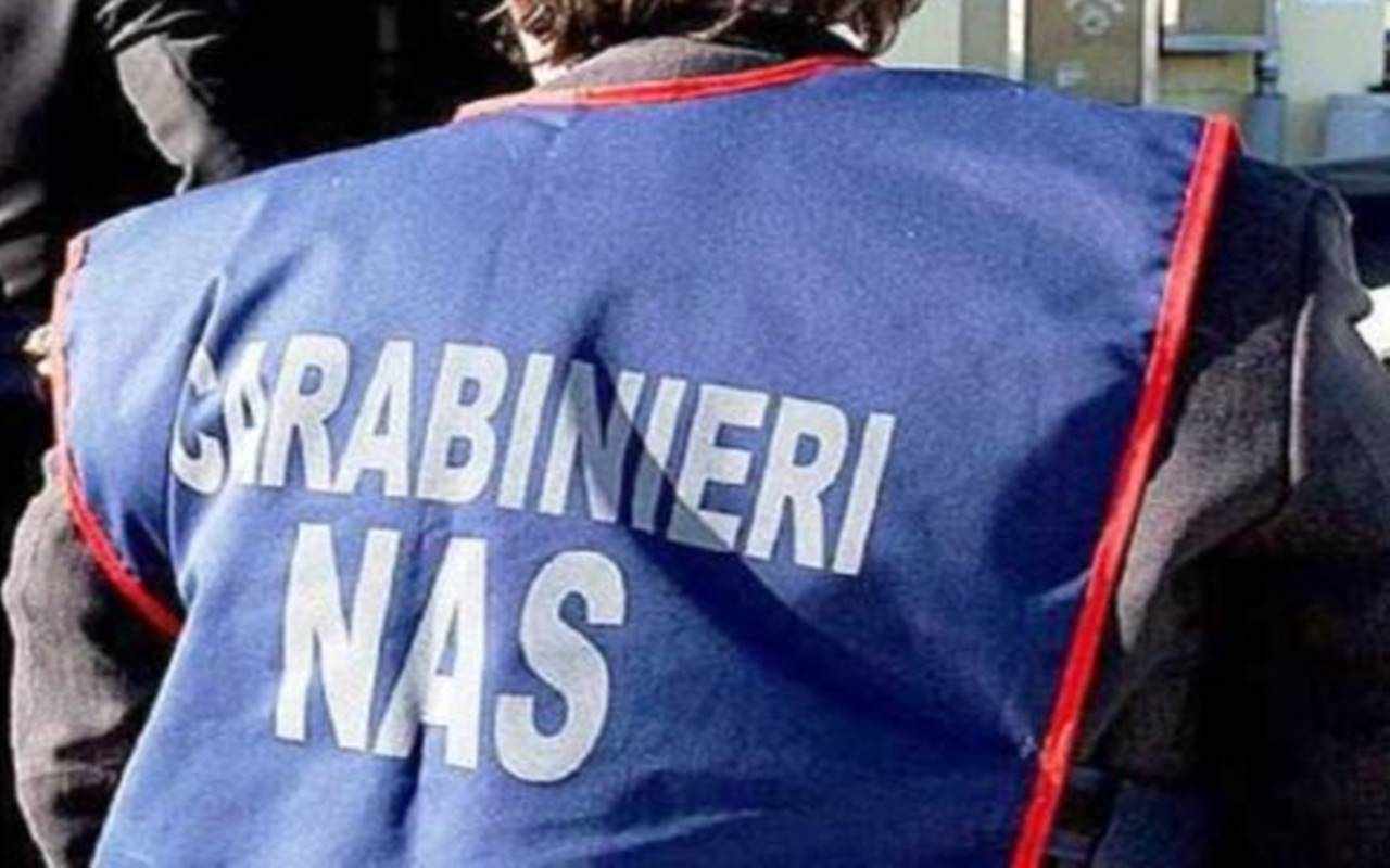 Concorsi truccati al Policlinico di Palermo: arrestati padre e figlia