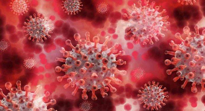 Il grave errore di aver sottovalutato per due decenni i coronavirus