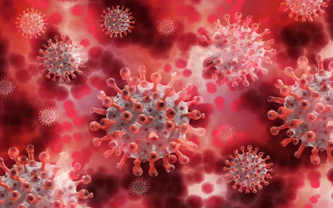 Il grave errore di aver sottovalutato per due decenni i coronavirus