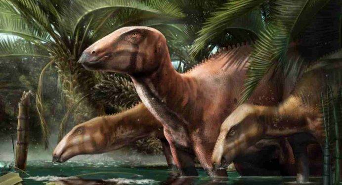 Ecco dov’è il primo giacimento di fossili di dinosauro in Italia
