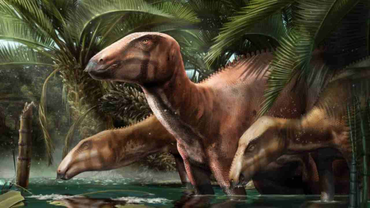 Ecco dov’è il primo giacimento di fossili di dinosauro in Italia
